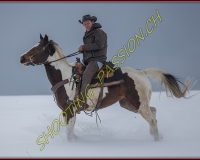 SEMSALES - 0693
